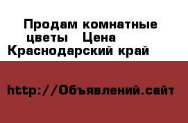 Продам комнатные цветы › Цена ­ 500 - Краснодарский край  »    